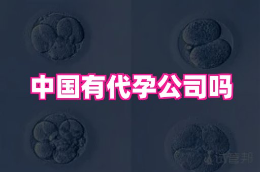 试管助孕网站 3