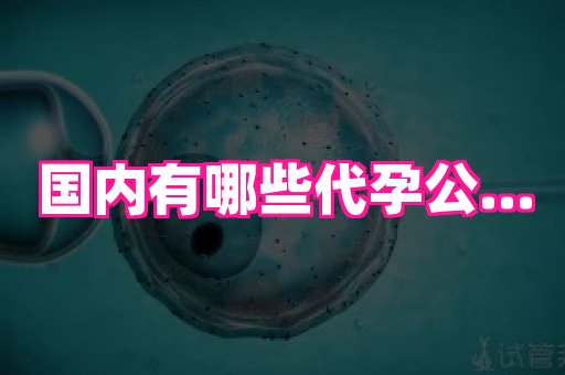 试管助孕网站 4